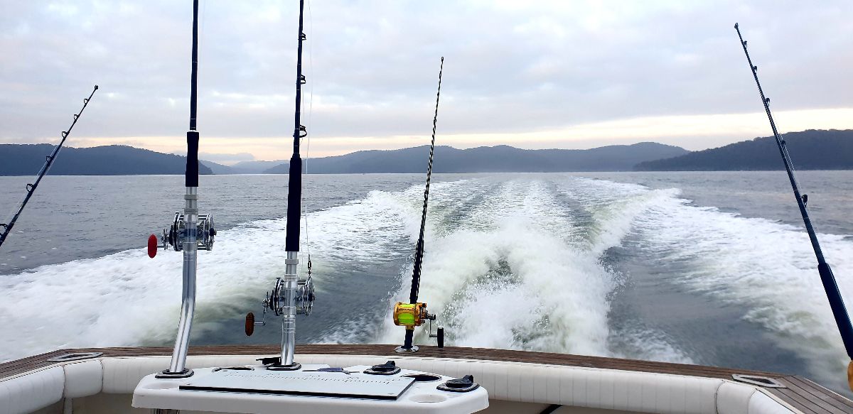 Monday Morning Marlin fishing photo 3