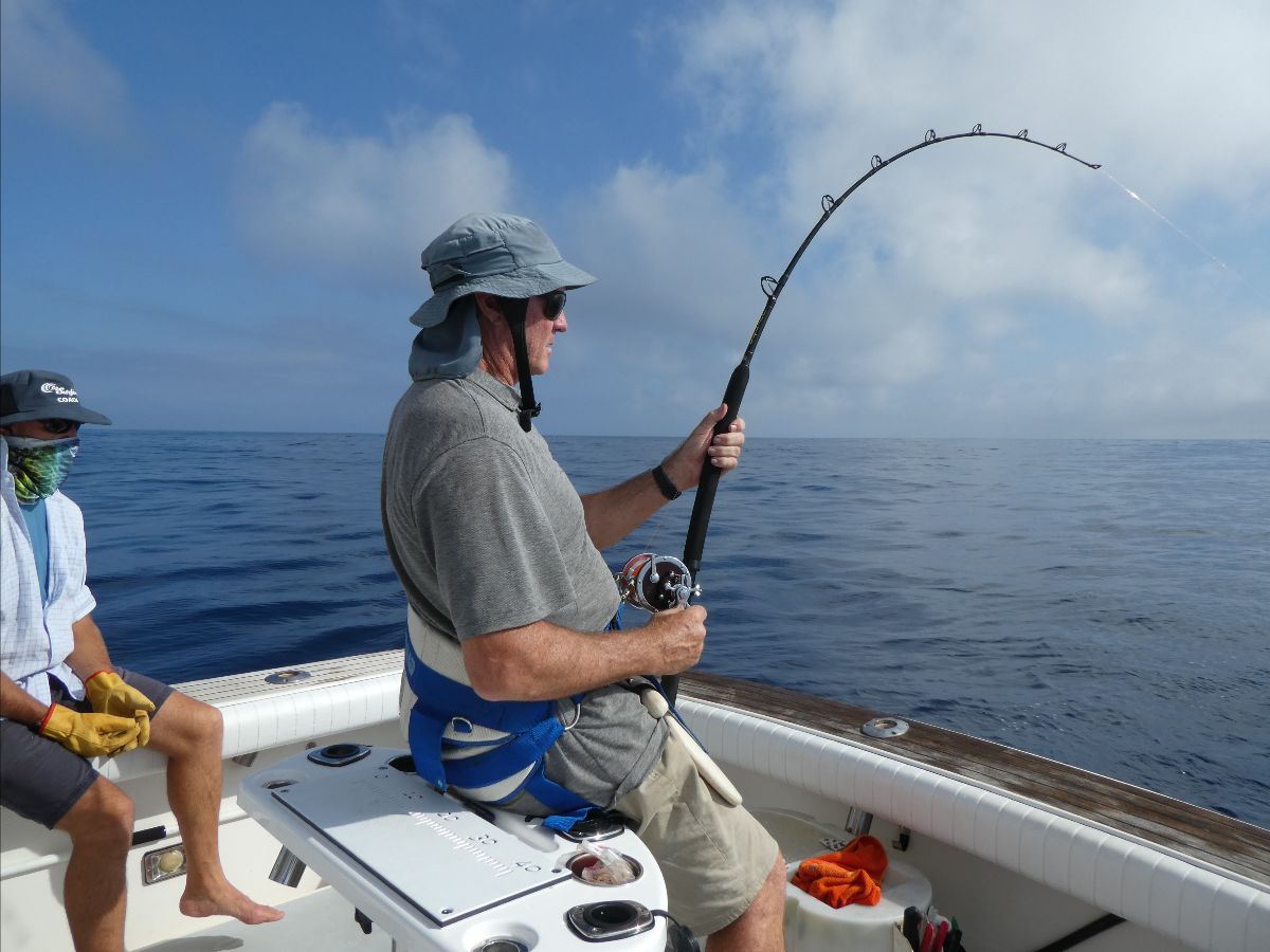 Monday Morning Marlin fishing photo 5