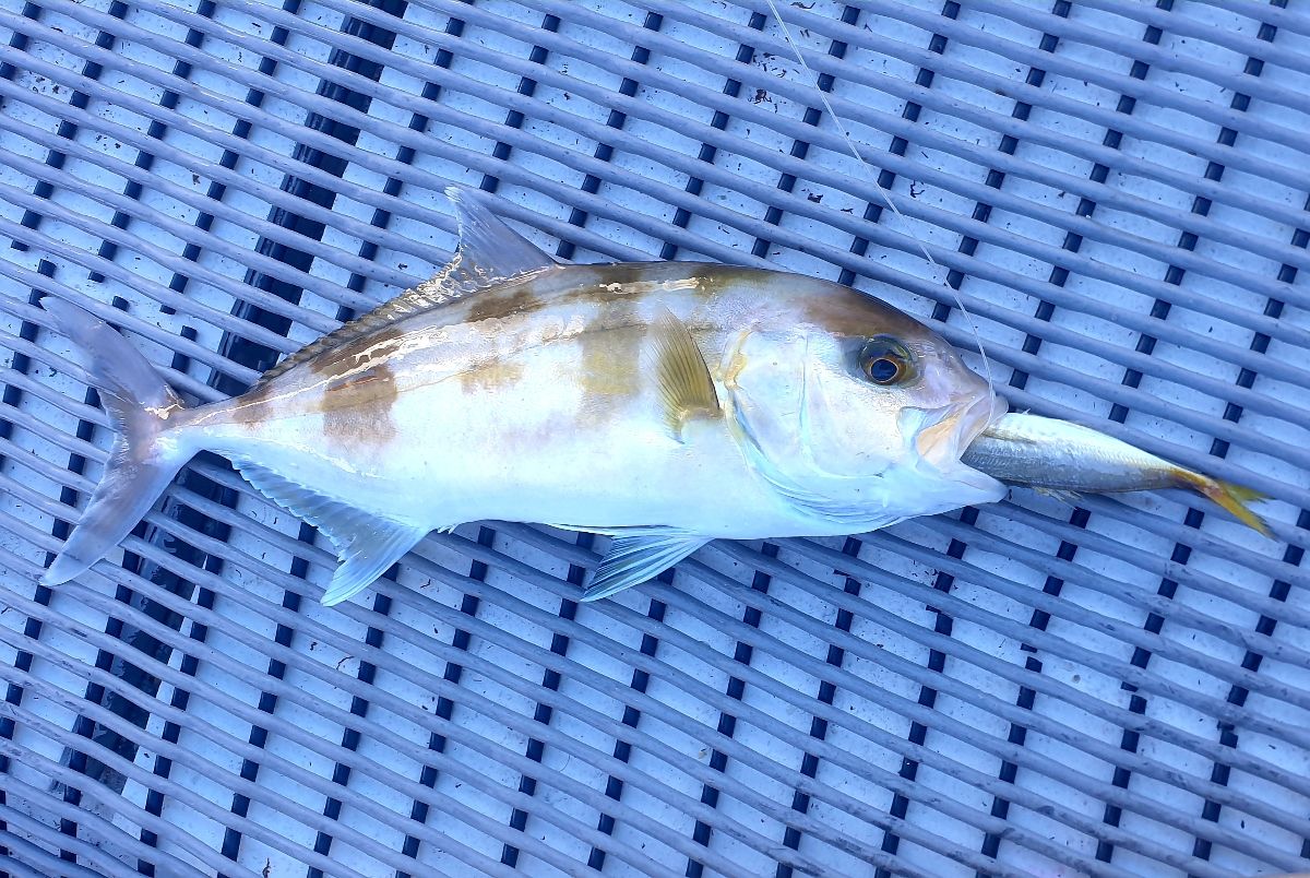 Muddy Waters fishing photo 5