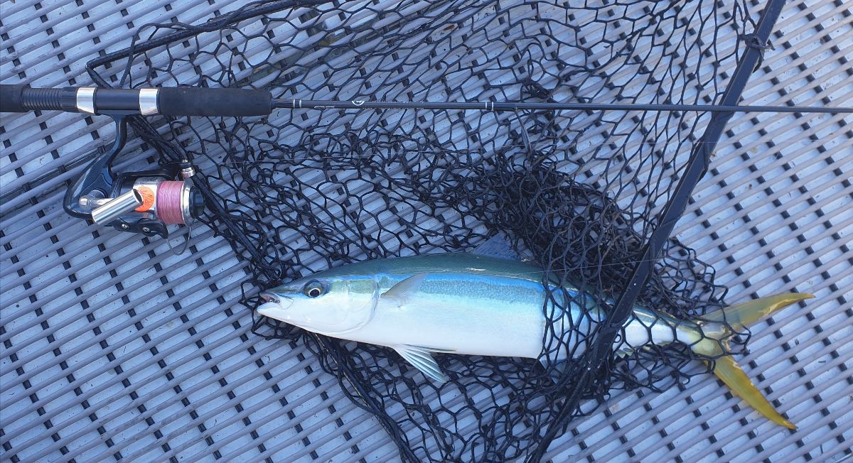 Muddy Waters fishing photo 6