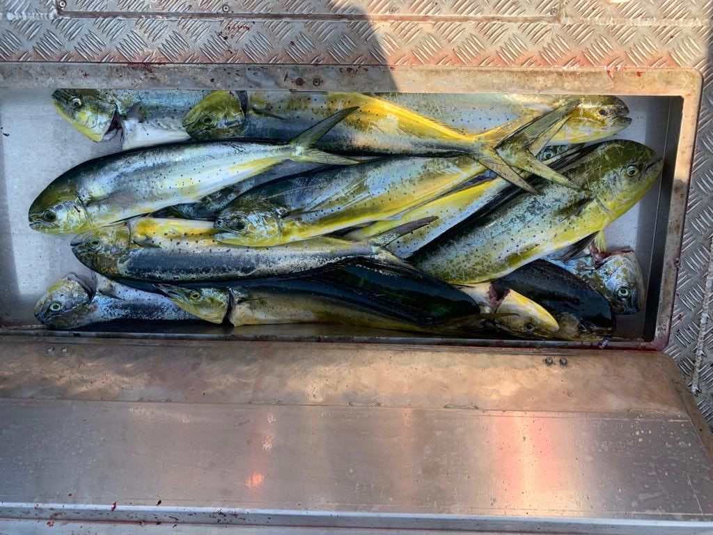 New Year Offshore fishing photo 2