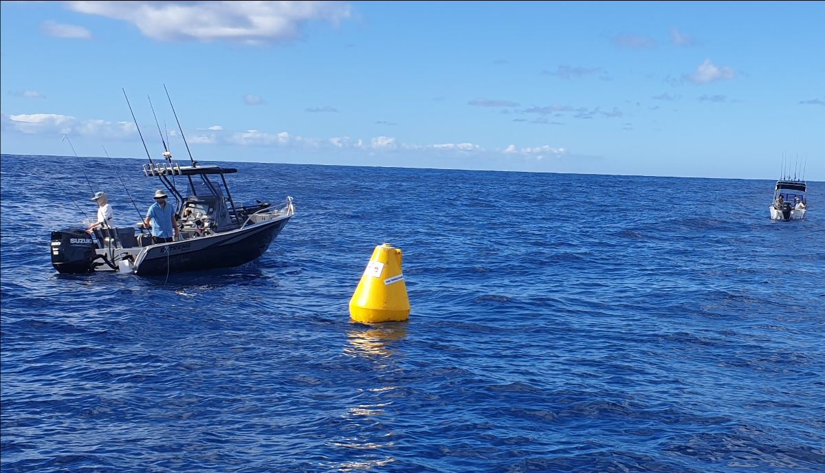 New Year Offshore fishing photo 5