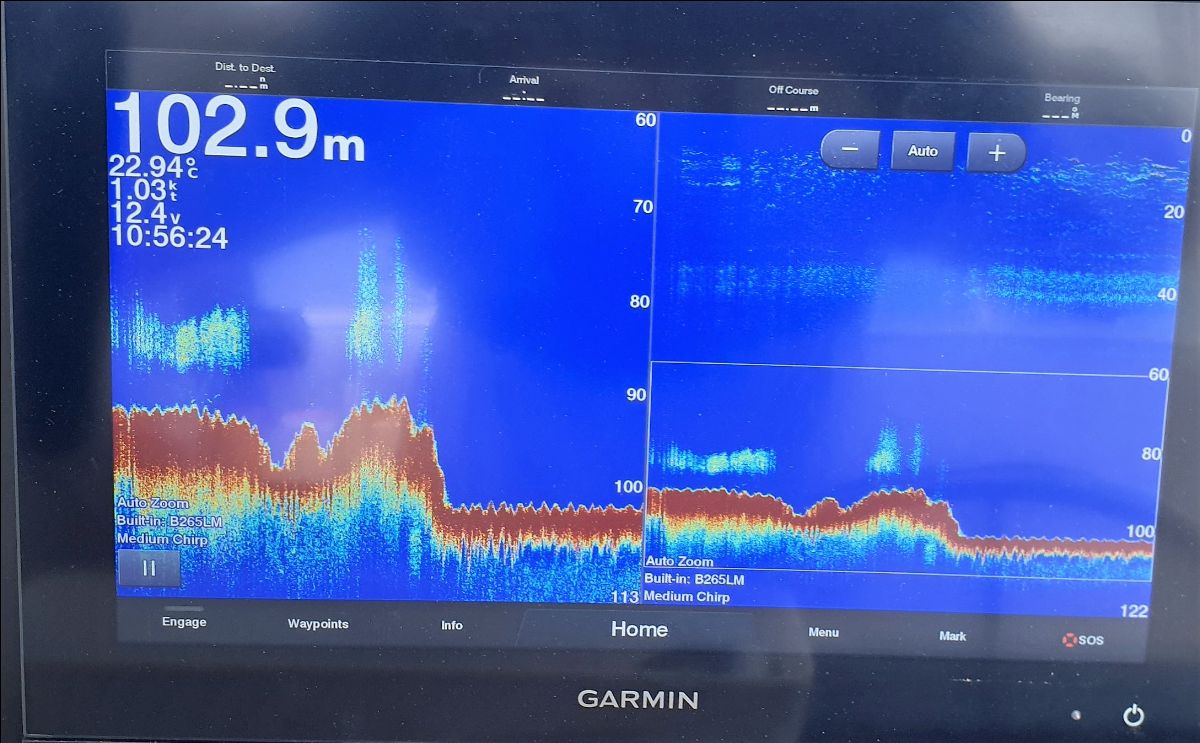 New Year Offshore fishing photo 6