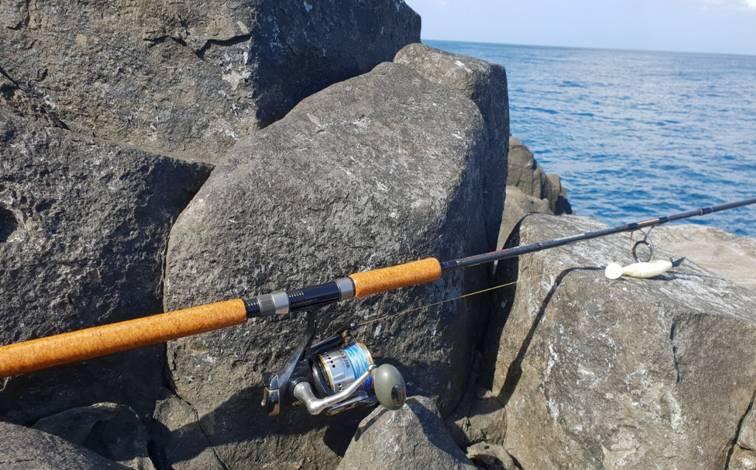 Norfolk 2 - The Jig Never Sleeps fishing photo 6