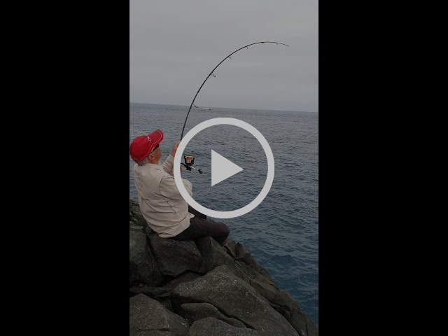 Norfolk 2 - The Jig Never Sleeps fishing photo 8
