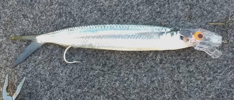 North, to Adventure fishing photo 11
