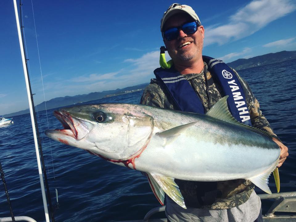 NOW IS THE TIME! For a one metre Sydney kingfish fishing photo 3