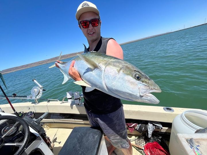 NOW IS THE TIME! For a one metre Sydney kingfish fishing photo 4