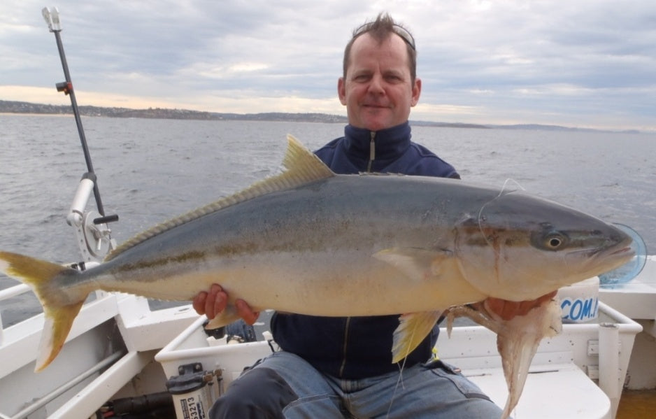 NOW IS THE TIME! For a one metre Sydney kingfish fishing photo 11