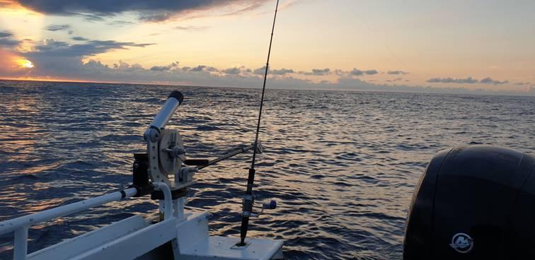 One Flash and Your Bait's Slashed fishing photo 3