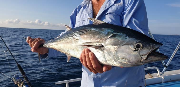 One Flash and Your Bait's Slashed fishing photo 4
