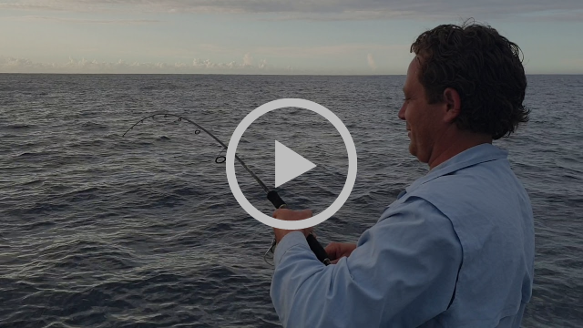 One Flash and Your Bait's Slashed fishing photo 6