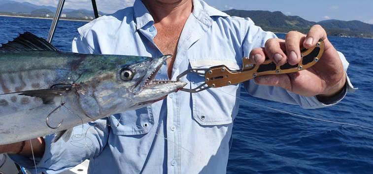 One Flash and Your Bait's Slashed fishing photo 12