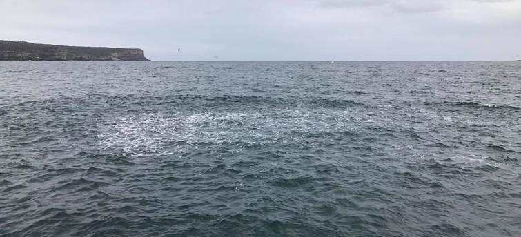 Plastic Fantastics for Oceanics fishing photo 5