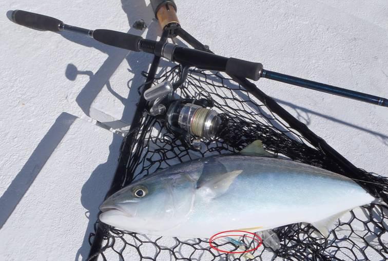 Plastic Fantastics for Oceanics fishing photo 13