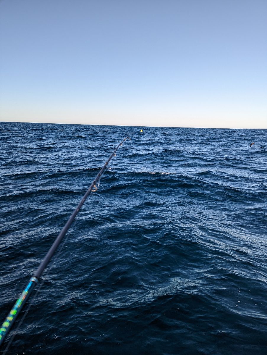 Popping at the FADs fishing photo 6