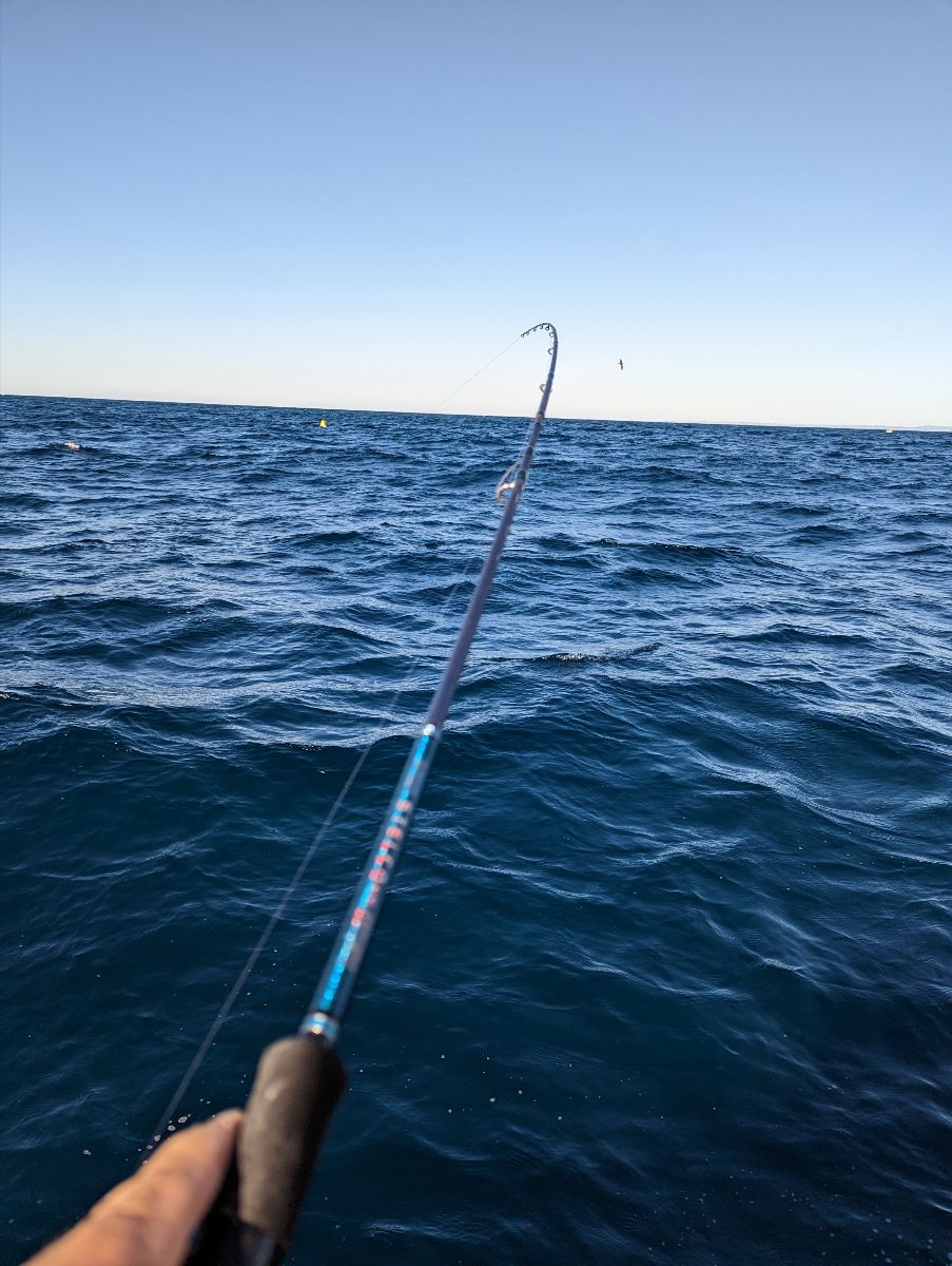 Popping at the FADs fishing photo 8