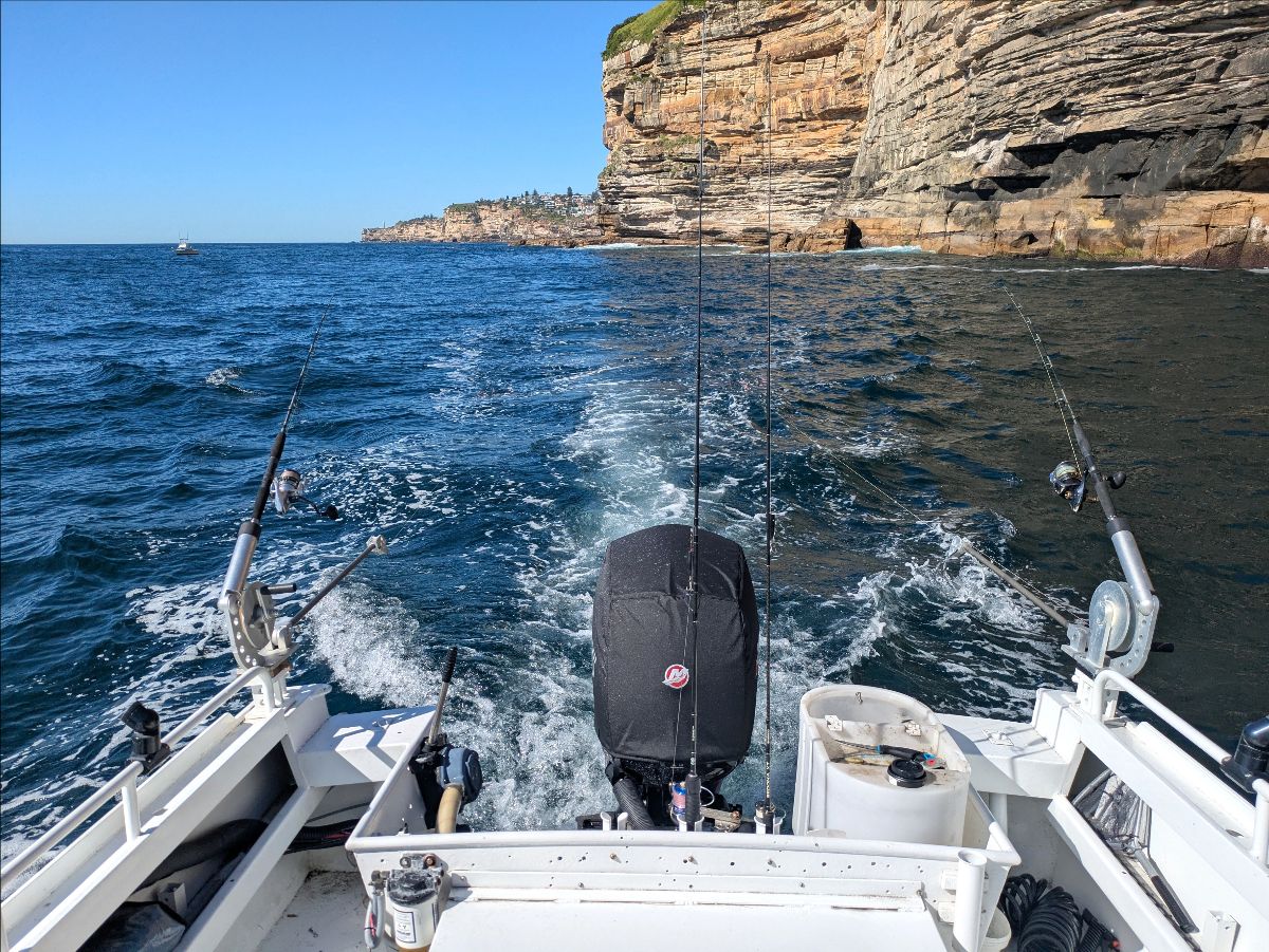 Popping Kingfish fishing photo 5