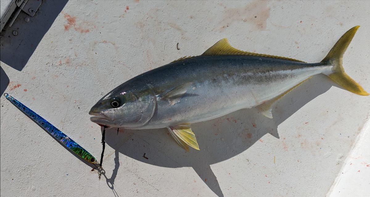 Port Report fishing photo 4
