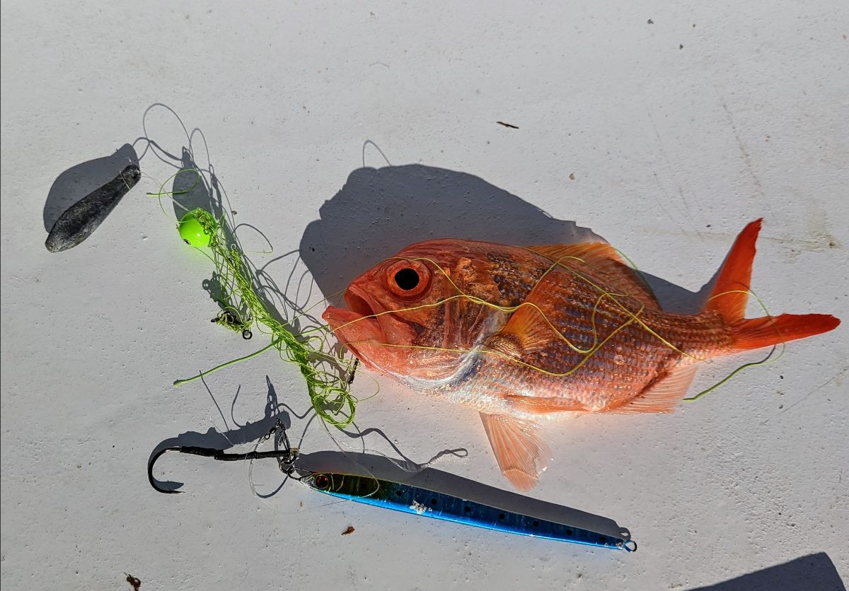 Port Report fishing photo 7