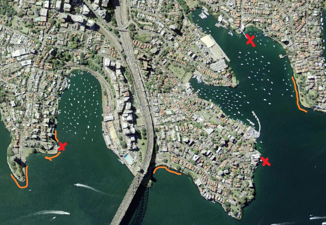 Quick and easy way to catch dinner in Sydney Harbour fishing photo 3
