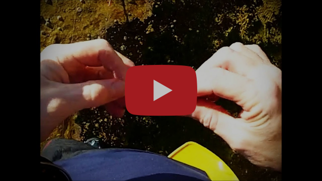 Quick and easy way to catch dinner in Sydney Harbour fishing photo 5