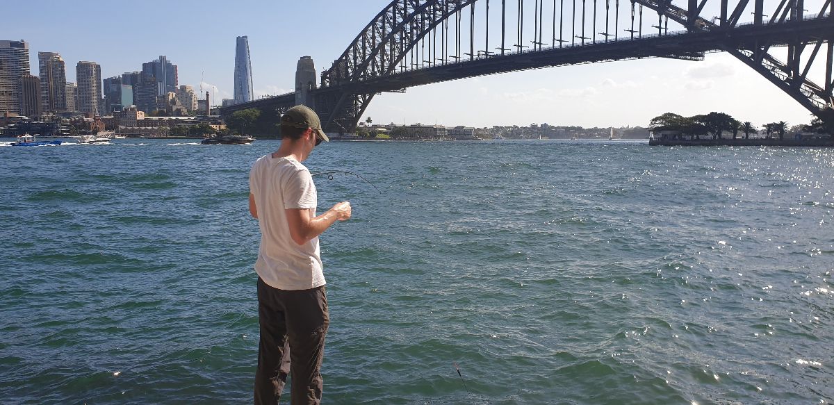 Quick and easy way to catch dinner in Sydney Harbour fishing photo 6