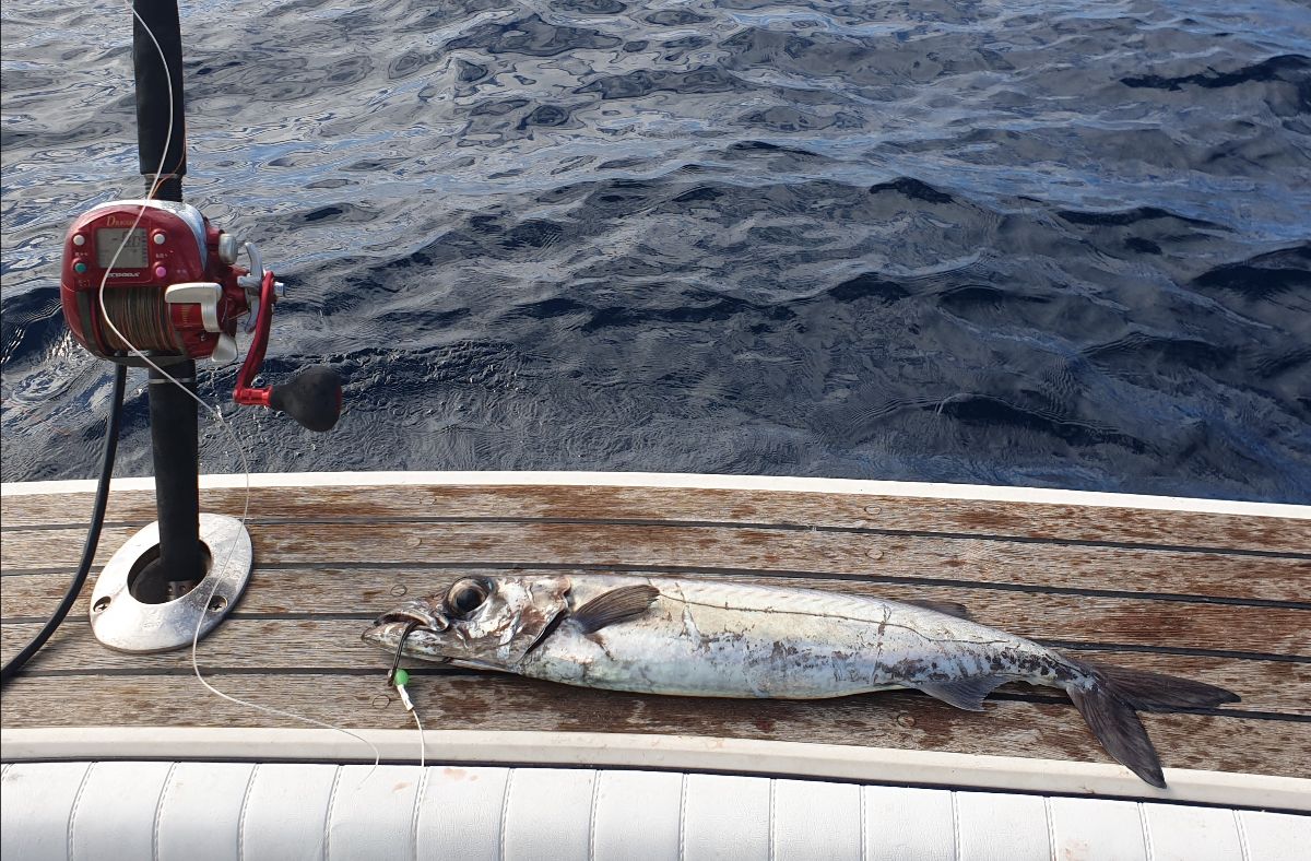 Red Dragon Ticks The Boxes fishing photo 5