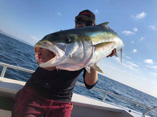 Large kingfish from a Coffs Harbour jigging trip in 2018