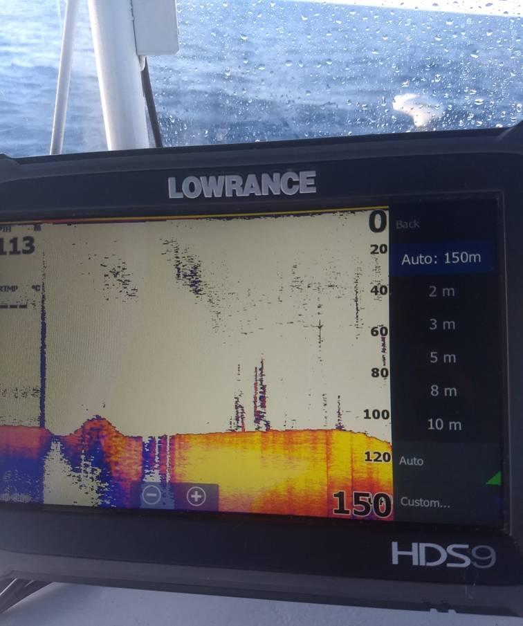 Lowrance sounder showing kingfish marks at Twelve Mile Reef during a mechanical jigging session