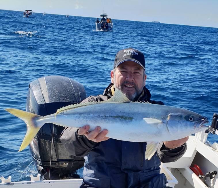 Kingfish caught by mechanical jigging at Twelve Mile Reef off Sydney