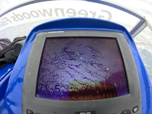 Sounder showing fish spread through much of the water column during kingfish jigging at Norfolk Island