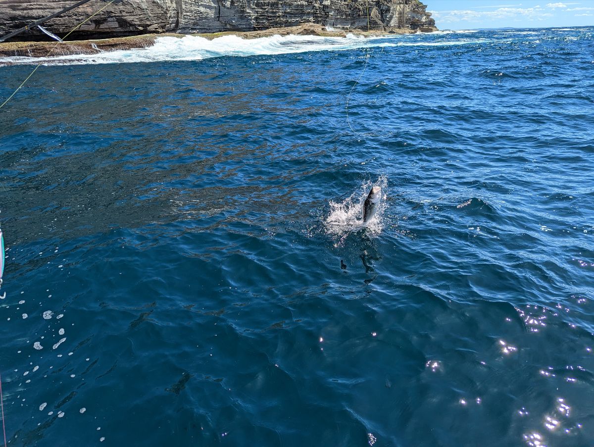 Sambos in the Suds fishing photo 6