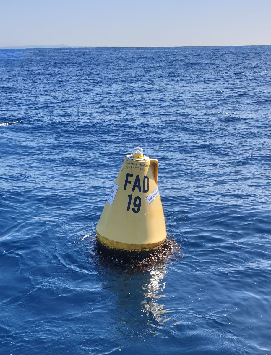 Self Isolating - Offshore fishing photo 5