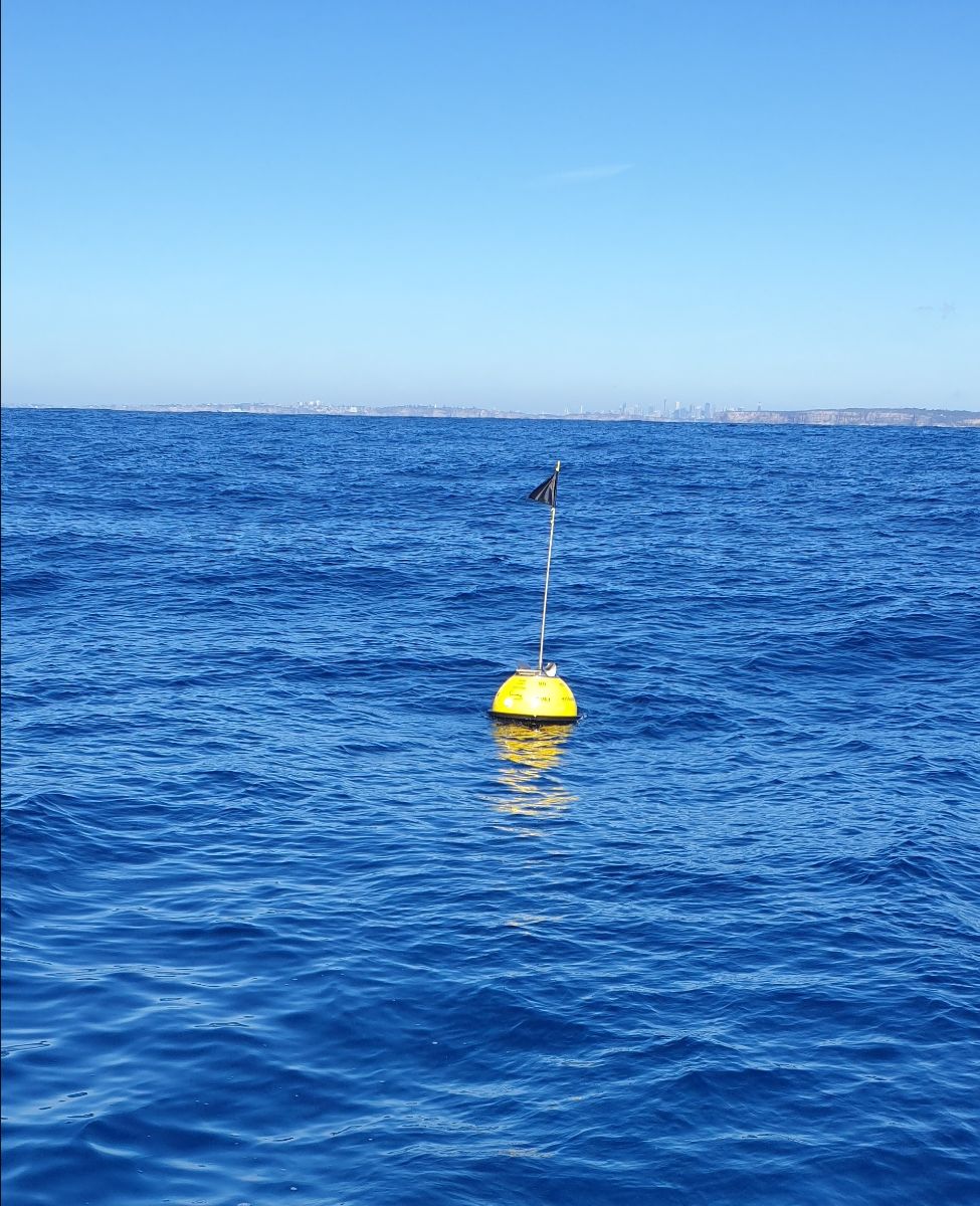 Self Isolating - Offshore fishing photo 6