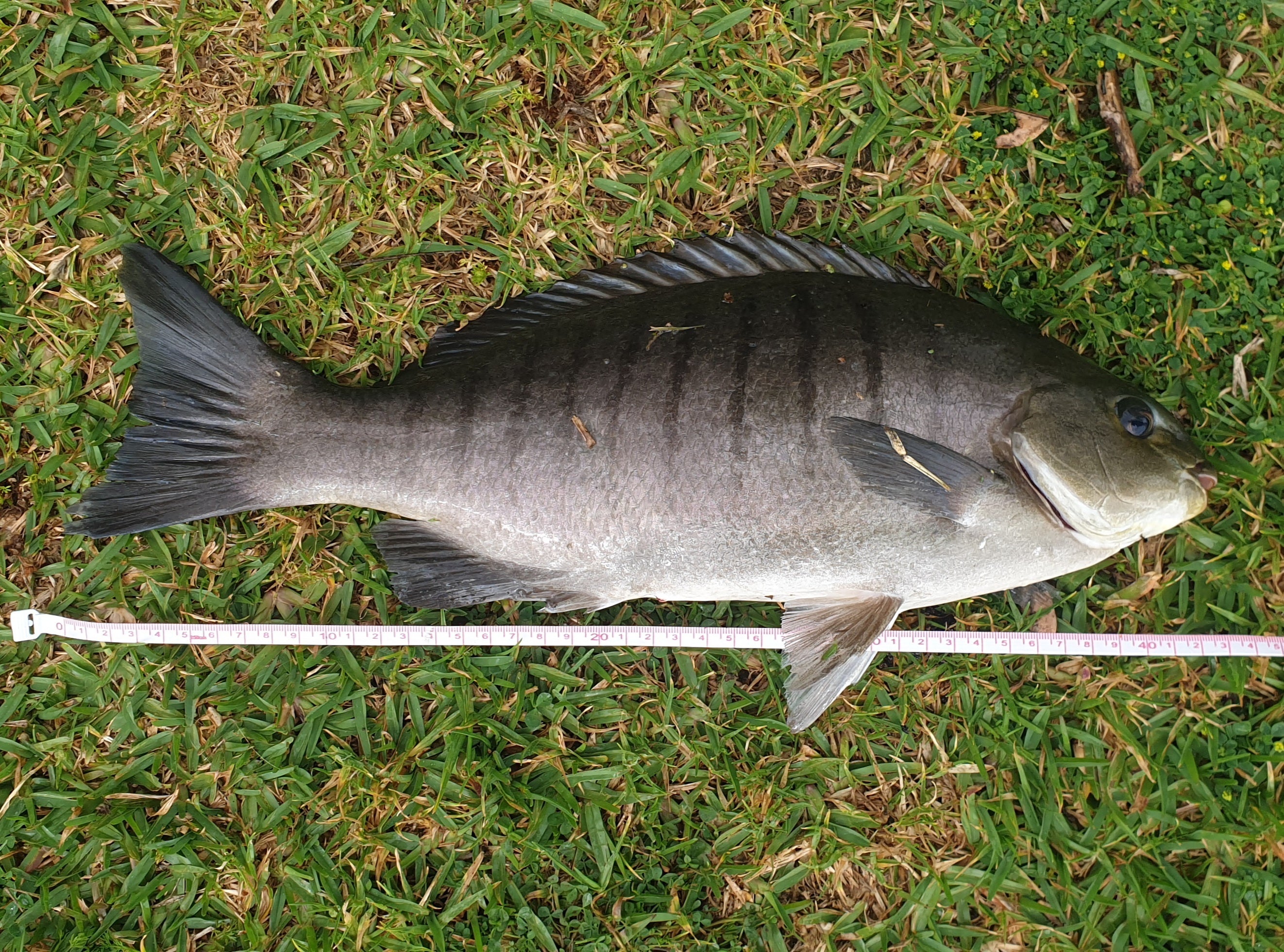 Send Ludes fishing photo 9