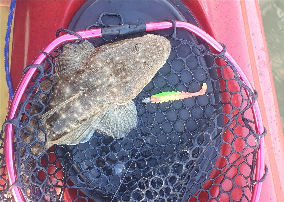 Summertime Seafood fishing photo 6
