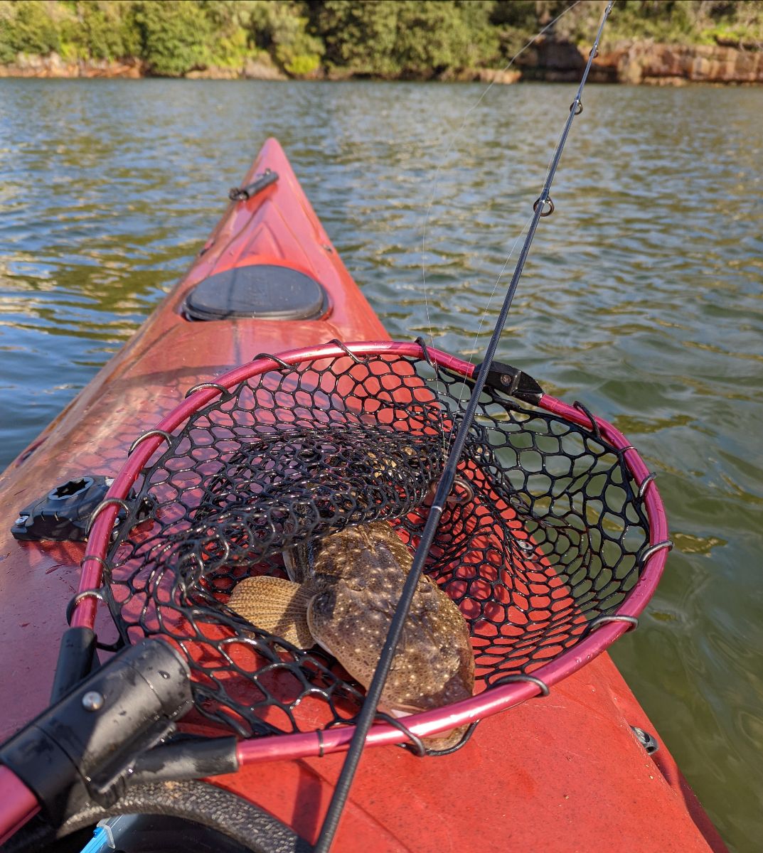 Summertime Seafood fishing photo 7