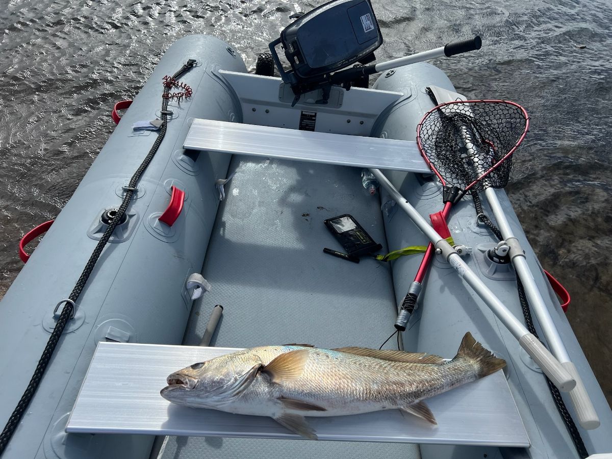 Summertime Seafood fishing photo 10