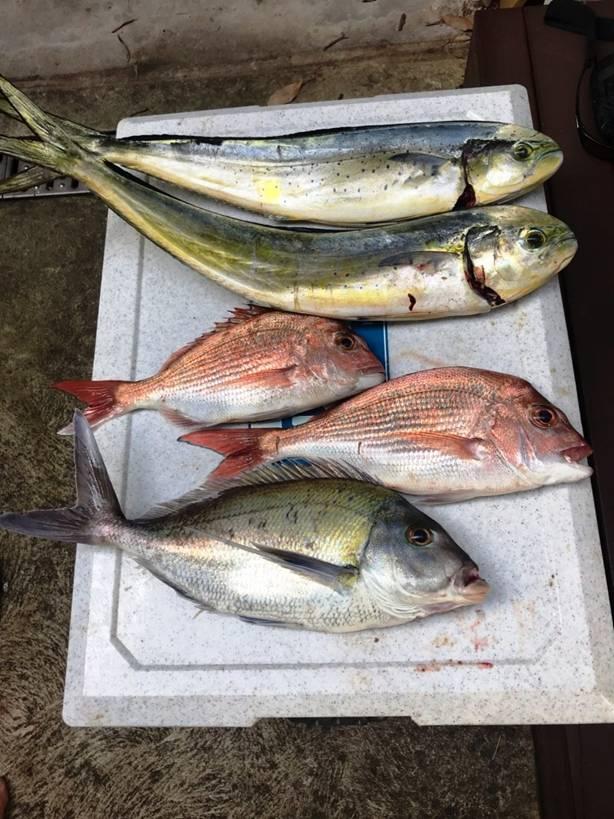 Sunny with a chance of hook ups fishing photo 2
