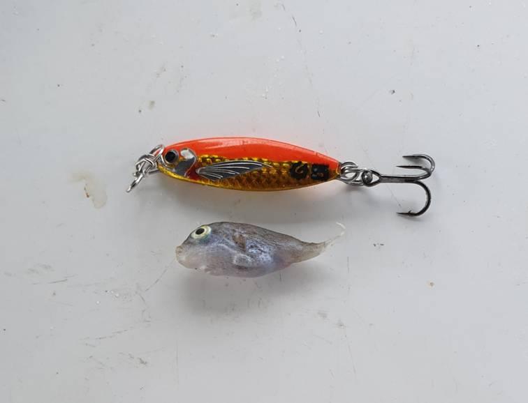 Sunny with a chance of hook ups fishing photo 7