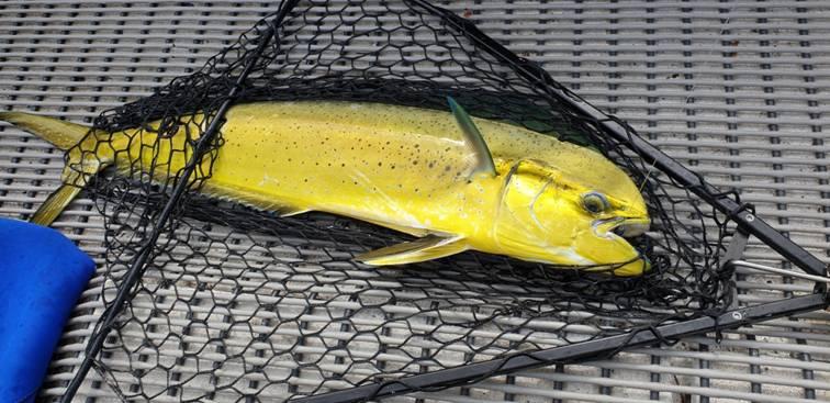 Sunny with a chance of hook ups fishing photo 9