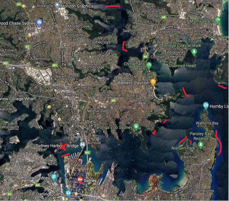 Sydney Harbour Kingfish fishing photo 3