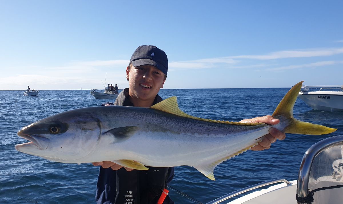 Sydney Harbour Kingfish fishing photo 8
