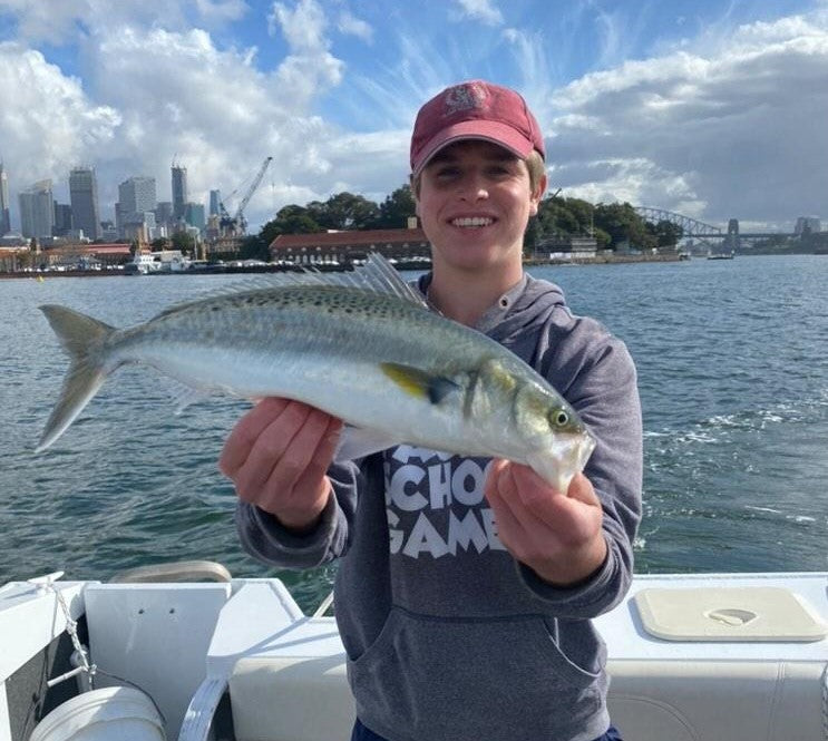 Sydney Salmon and Kings fishing photo 2