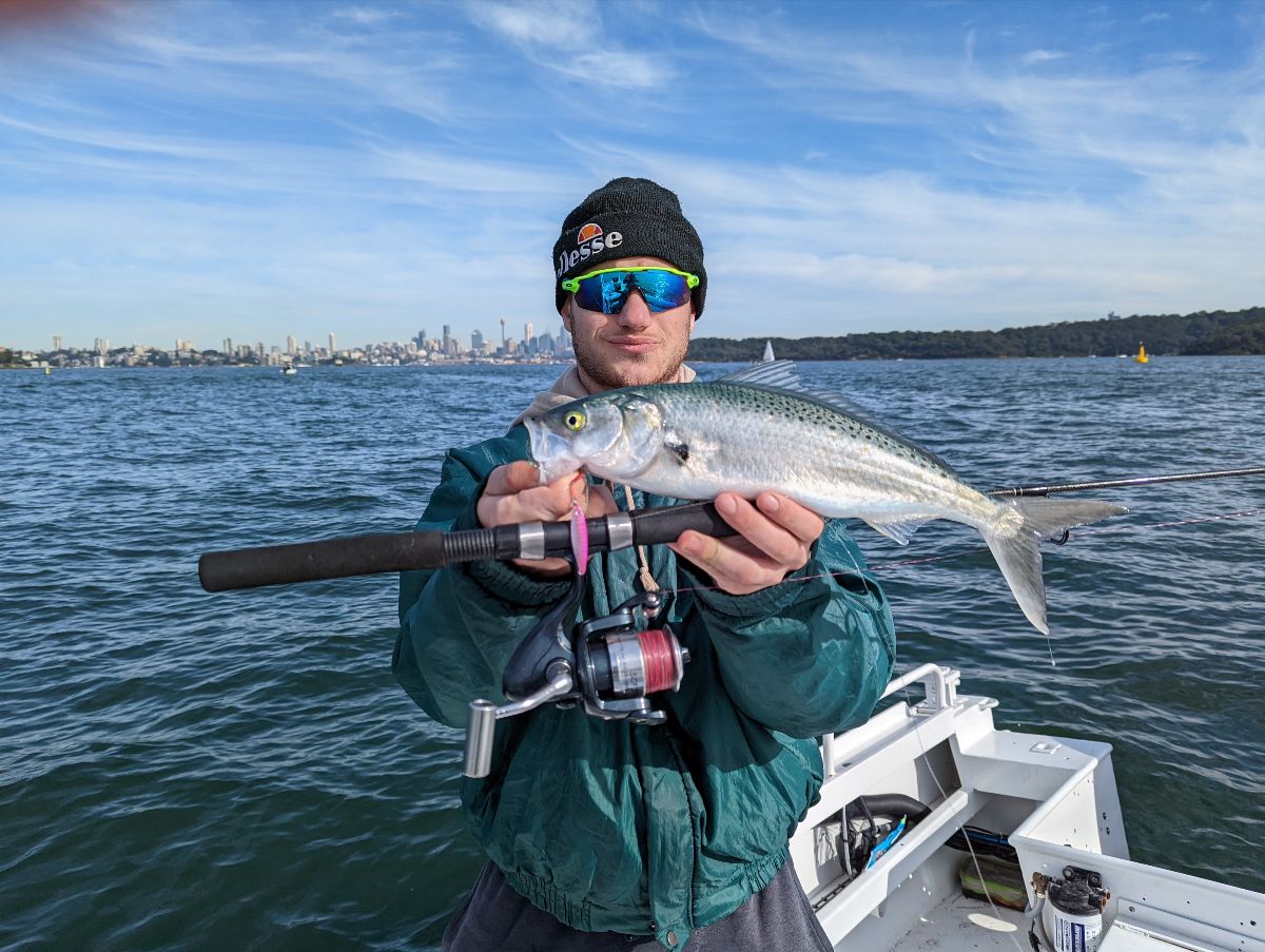 Sydney Salmon and Kings fishing photo 8