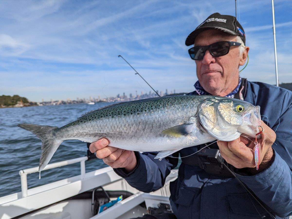 Sydney Salmon and Kings fishing photo 9