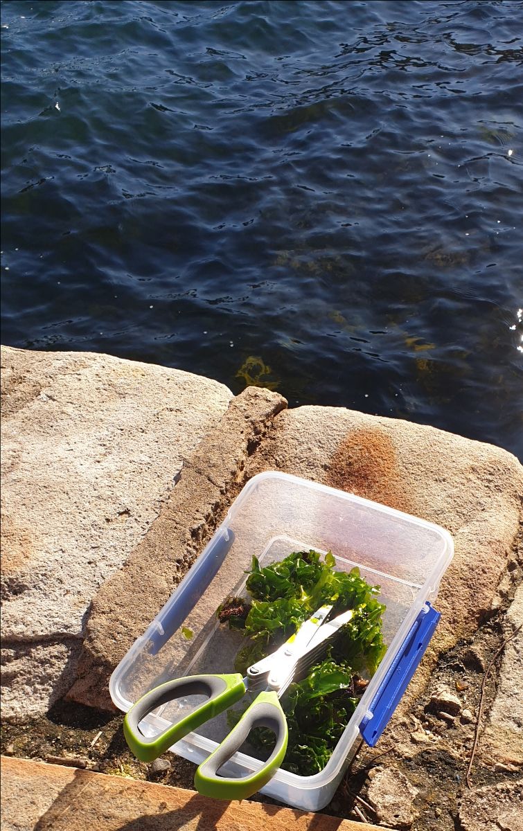 That Ol' Black Magic fishing photo 4