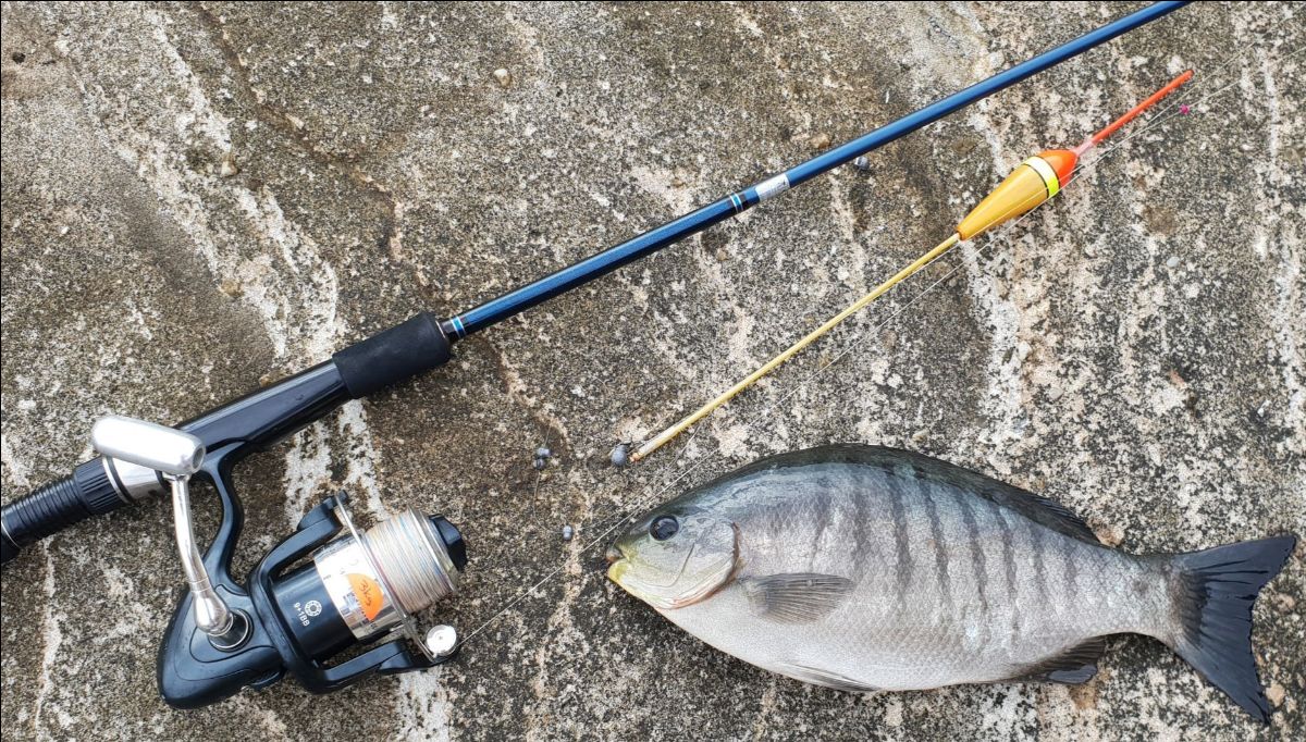 That Ol' Black Magic fishing photo 6