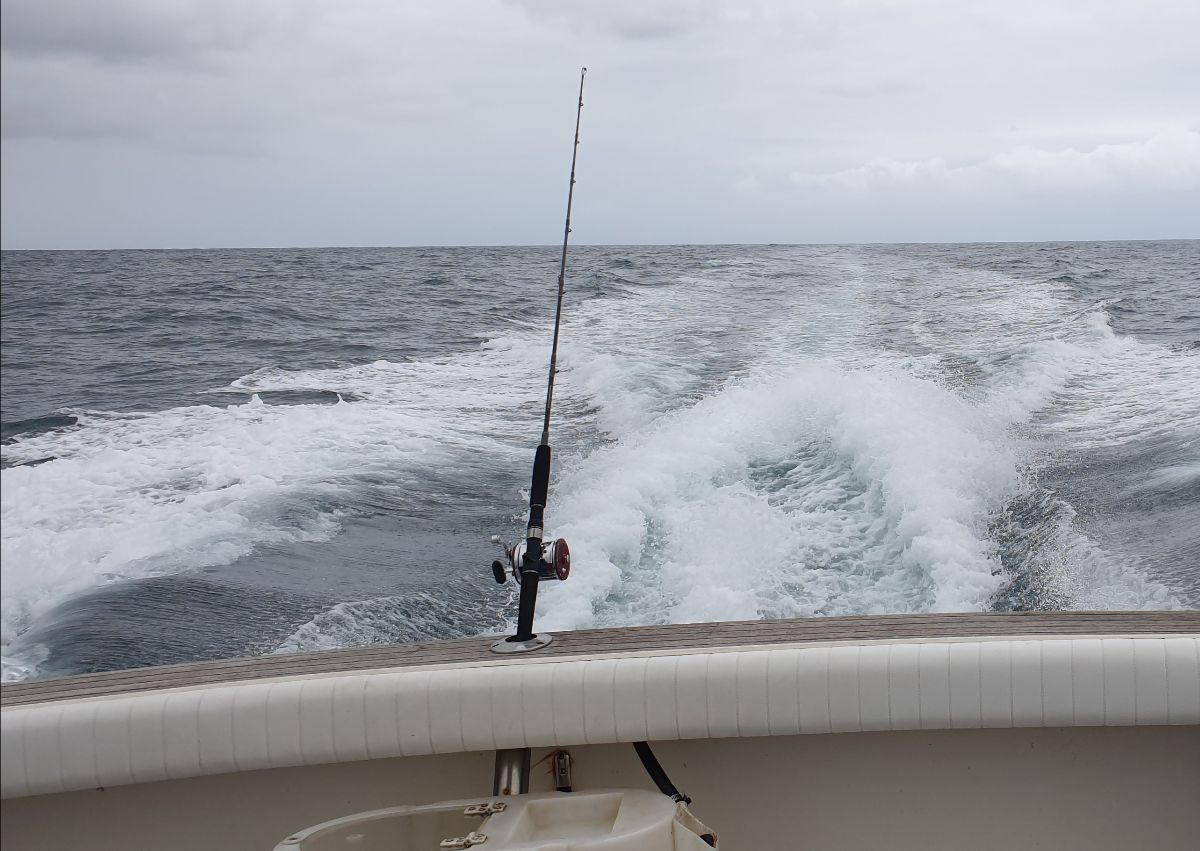 The Big Jig fishing photo 4